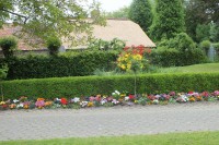Dach