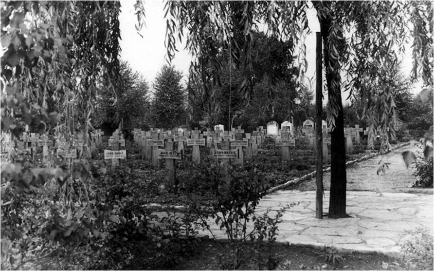 Das Ehrenfeld noch mit den Holzkreuzen auf dem Mülhausener Friedhof 1960