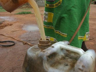 © Pierre Holtz - UNICEF, hdptcar from Bangui, Central African Republic - Unsafe drinking water 03