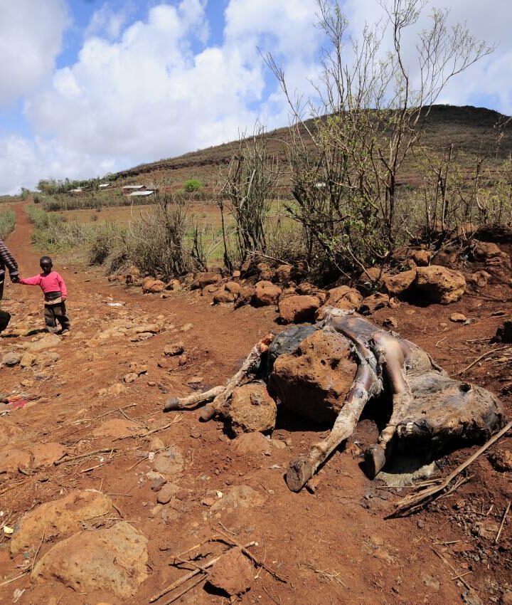 Am Horn von Afrika
