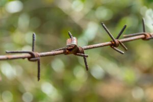barbed wire, fence, wire, metal, exclusion, border, rusty, asylum, asylum, asylum, asylum, asylum, asylum