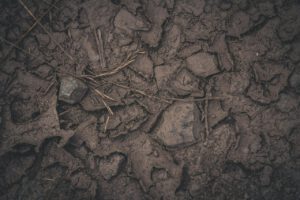 earth, floor, brown, nature, cracks, forest floor, dryness, dirt, ground, natural soil, dry, dried up earth, ground earth, forest floor, forest floor, forest floor, forest floor, forest floor, ground, ground