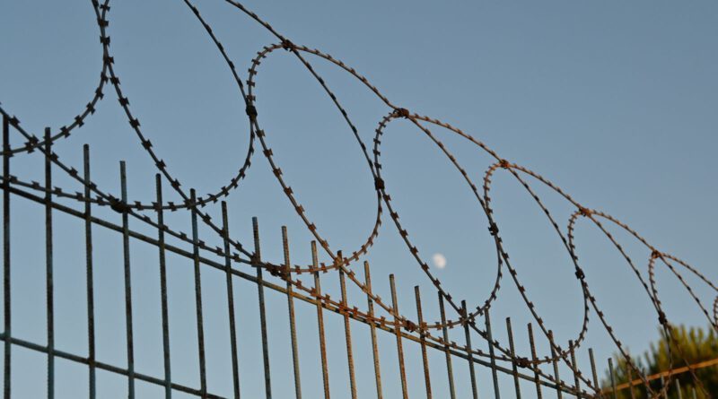 A close-up view of a barbed wire fence under a clear blue sky, suggesting protection and security.
